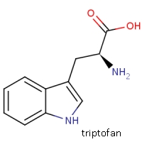 F_TriptofanH