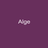 Alge